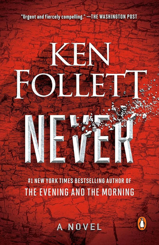 Never: A Novel cover image